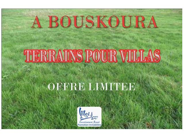 Terrain pour villa R+1 à BOUSKOURA