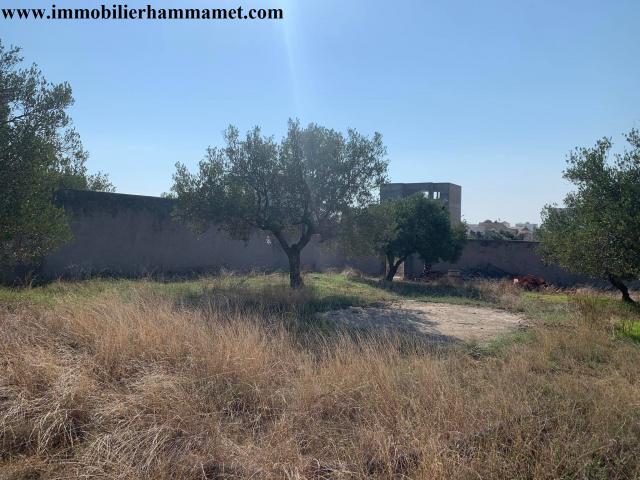 Terrain Salah 741 m² à Kharrouba Hammamet Nord