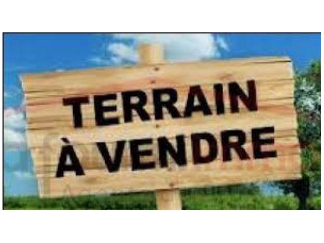 Terrains à vendre