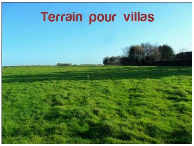 Terrains à vendre