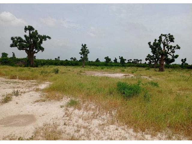 Terrains de 200 mètres carrés à vendre à Thiès Sénégal