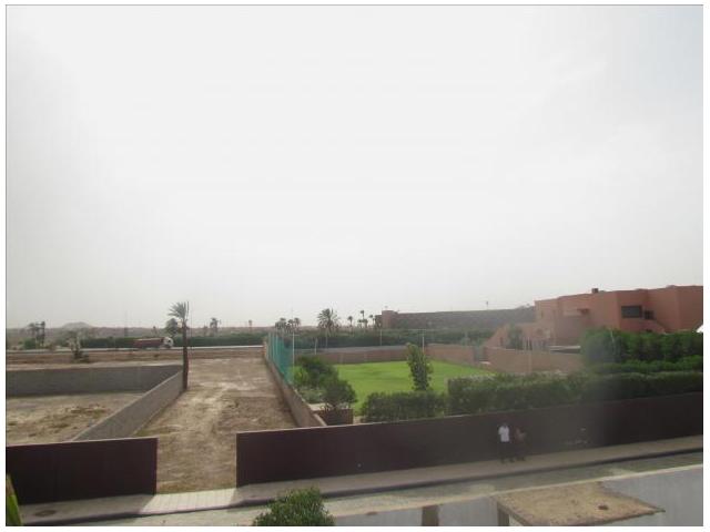 Photo Terrains  de 2000 m2 à Marrakech Palmeraie image 1/6