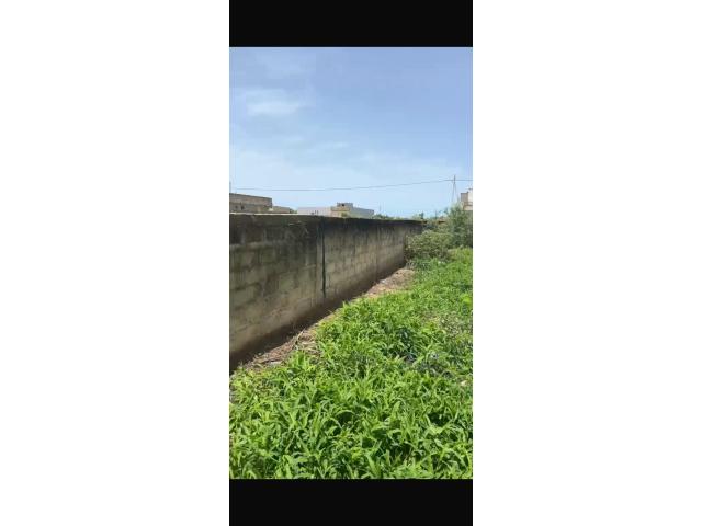Terrains de 225 mètres carrés à vendre à Gandigal Sénégal