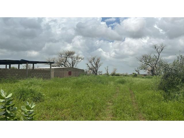 Terrains de 225 mètres carrés à vendre à Malicounda Sénégal