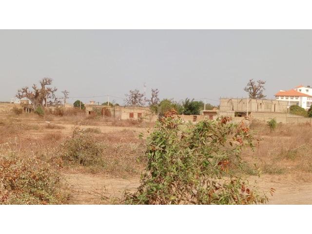 Terrains de 225 mètres carrés à vendre à Saly Sénégal