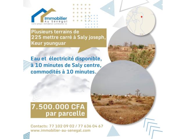 Terrains de 225 mètres carrés à vendre à Saly Sénégal