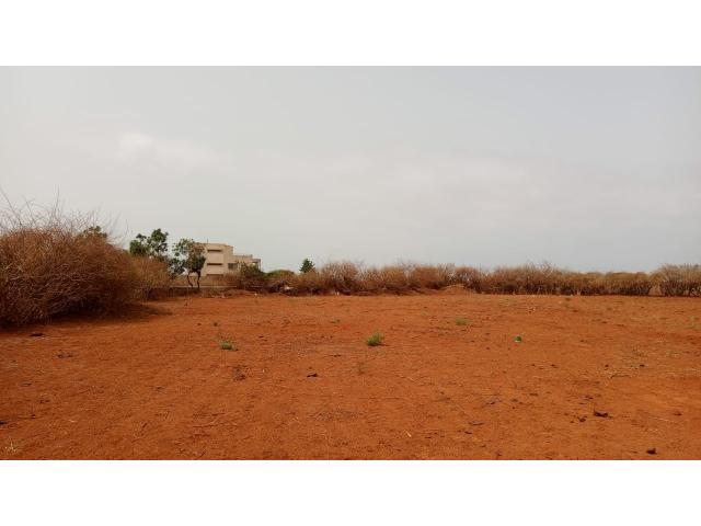Terrains de 225 mètres carrés à vendre à Sindia Sénégal