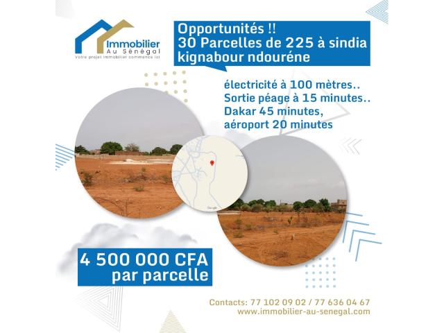 Terrains de 225 mètres carrés à vendre à Sindia Sénégal