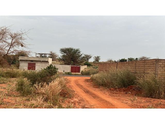 Terrains de 300 mètres carrés à vendre à Guéréo Sénégal