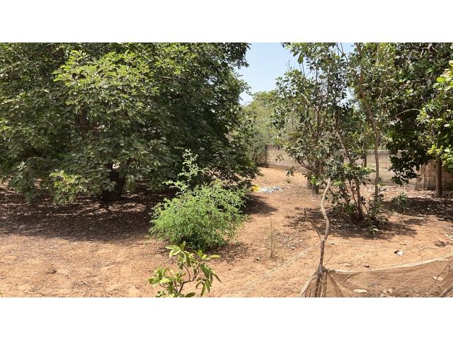 Terrains de 300 mètres carrés à vendre à Saly Sénégal