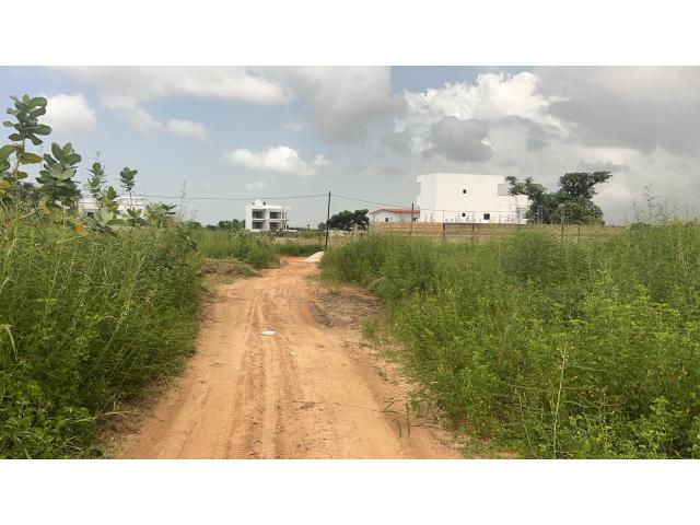 Terrains de 300 mètres carrés à vendre à Saly Sénégal