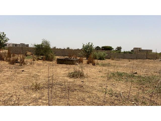 Terrains de 300 mètres carrés à vendre à Saly Sénégal
