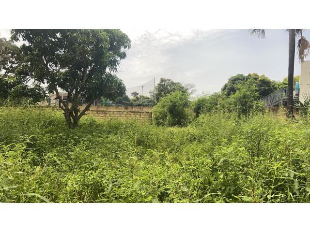Terrains de 300 mètres carrés à vendre à Saly Sénégal