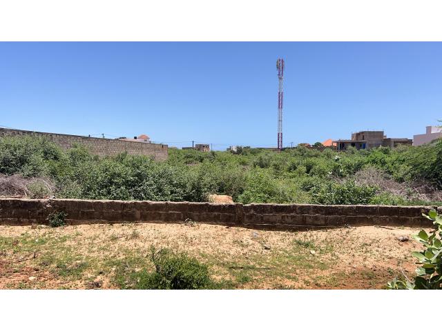 Terrains de 300 mètres carrés à vendre à Somone Sénégal