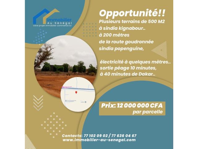 Terrains de 500 mètres carrés à vendre à Sindia Sénégal