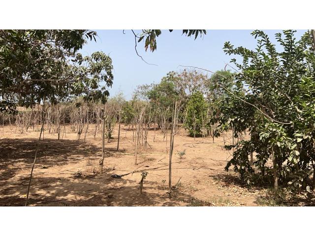 Terrains de 600 mètres carrés à vendre à Saly Sénégal