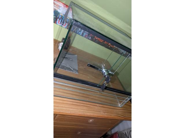 terrarium