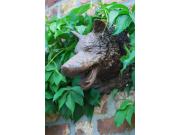 Annonce TETE DE LOUP EN FONTE PATINEE A SUSPENDRE .