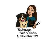 Annonce Toilettage canine