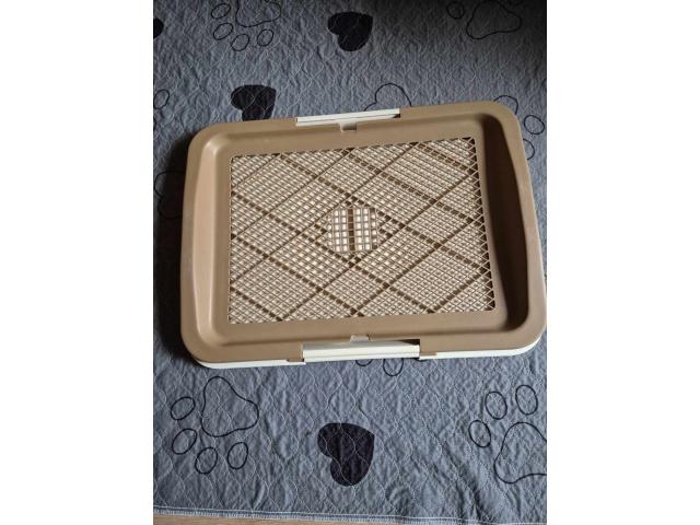 Toilettes pour chiot Savic Puppy Trainer