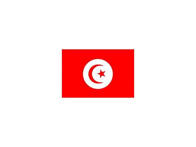 TRANSPORTS PARIS TUNIS / TUNIS FRANCE