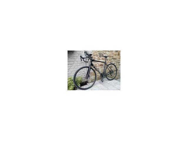 Trek Domane AL 4 2024 mixte route-gravel