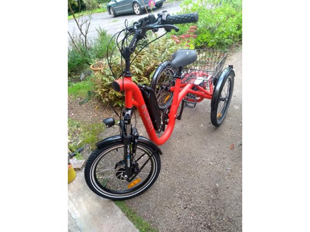 Tricycle Electrique Damius 20 Pouces
