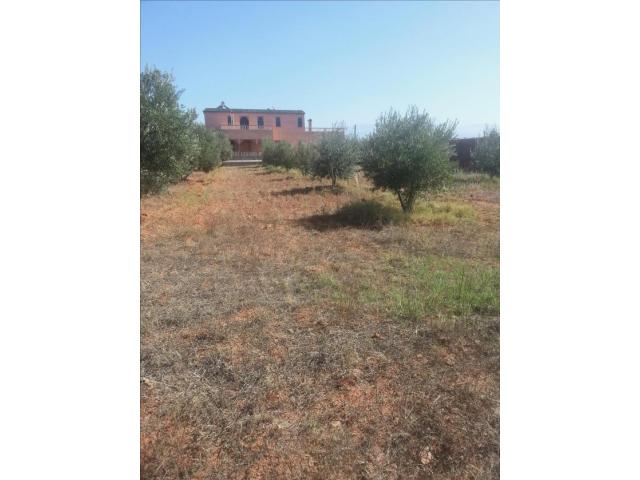 une ferme à Marrakech