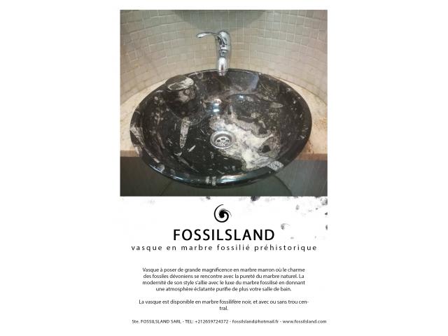 Vasques bol avec et sans trou central en marbre fossilifère préhistorique