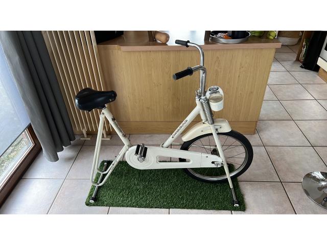 Vélo Vintage entraînement europa