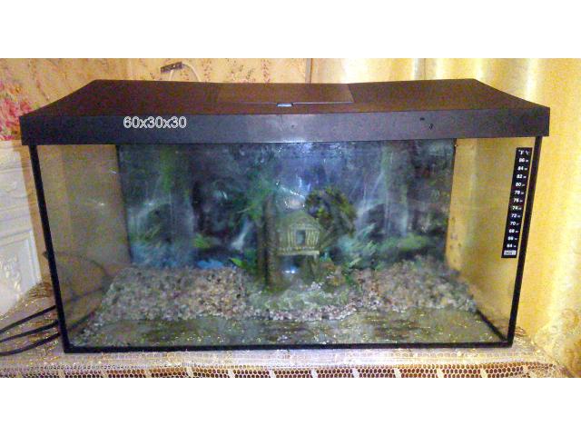vend aquarium