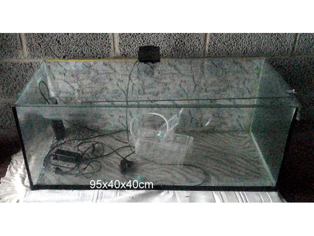 vend aquarium