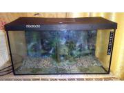 Annonce vend aquarium