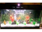 Annonce vend aquarium complet