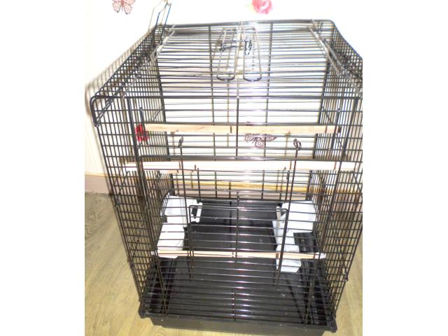 Photo vend cage nouvelle perruche image 1/2