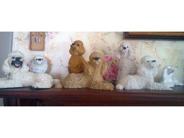 vend collection postures caniches