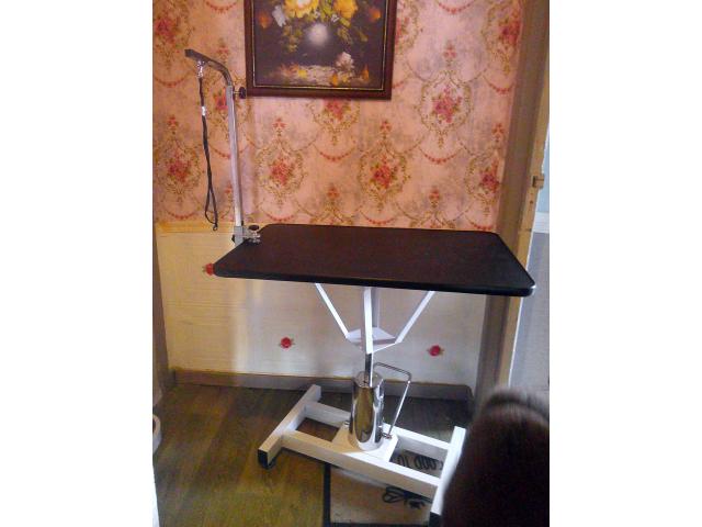 vend table de toilettage hydraulique