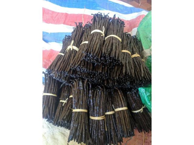 Photo Vente de  Gousse vanille de  Madagascar ( WhatsApp:+261329703377) image 1/5