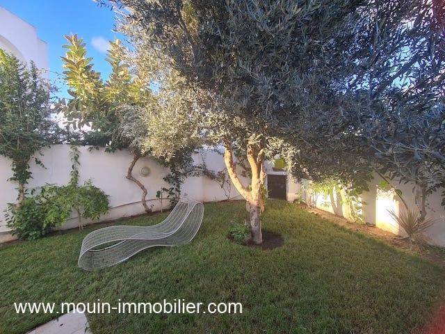 Villa Aster AV1590 Yasmine Hammamet