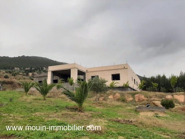 Photo Villa Bora AV1581 Hammamet zone theatre image 1/4