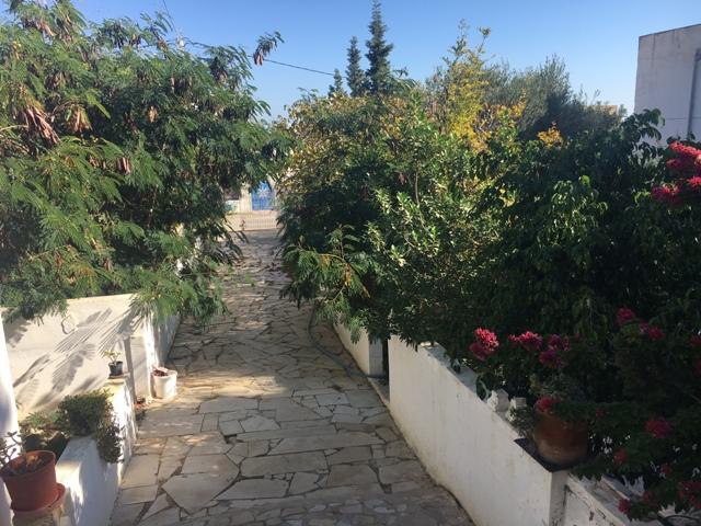 villa neirouz AV659 hammamet nord