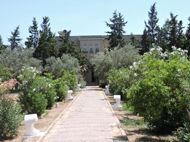 Villa Nina AL1812 Hammamet Sud