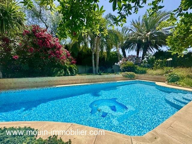 Villa Petra AV1916 Jinen Hammamet