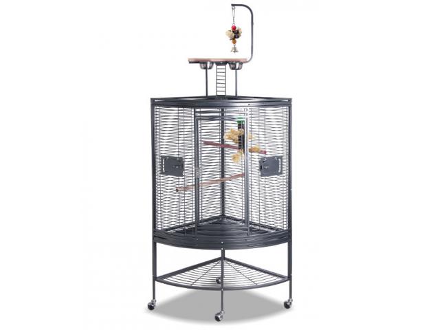 Photo Volière angle anthracite cage perroquet angle cage gris gabon cage eclectus cage youyou cage oiseau  image 1/4