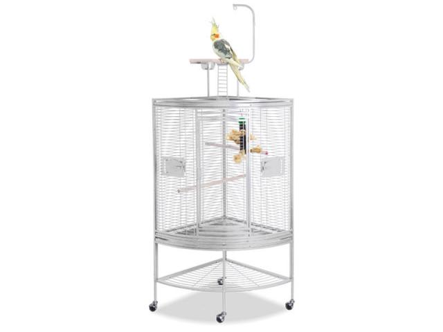 Volière angle platinum cage perroquet angle cage gris gabon cage eclectus cage youyou cage oiseau an