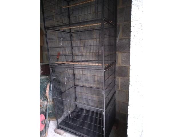 volière en métal noir solide