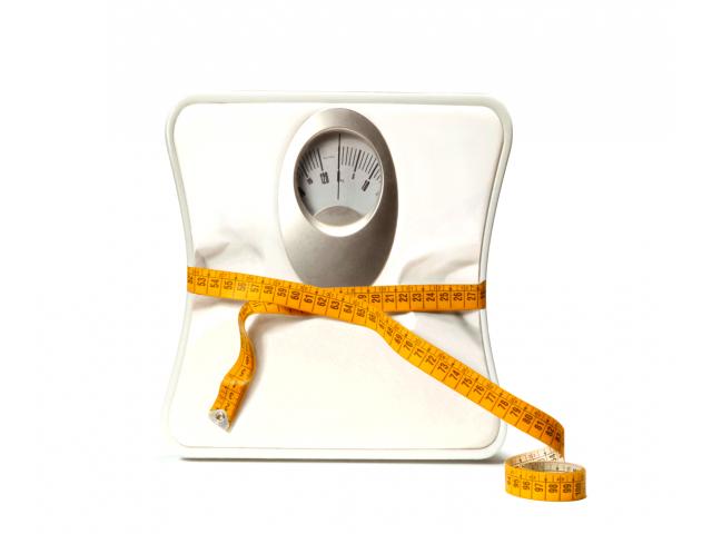 Vous en avez marre de vos kilos en trop ? ou Vous ne savez tout simplement plus comment vous aliment
