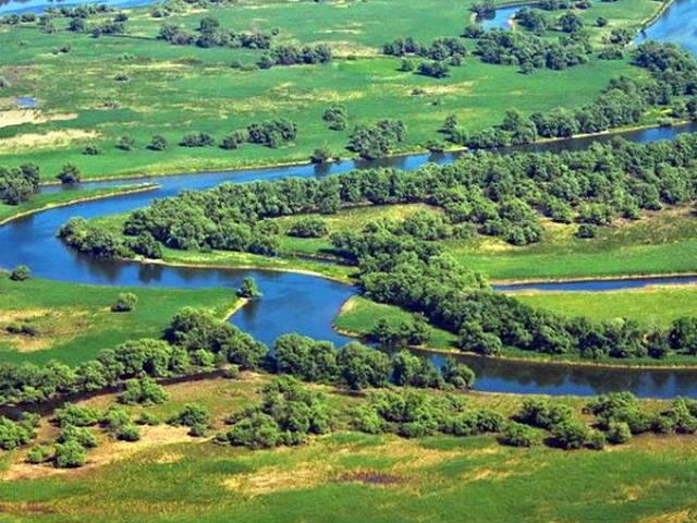 We sell investment company with 736 ha in the Danube Delta, 27oct