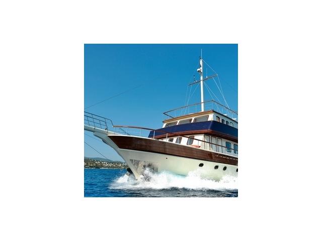 Photo yacht conçu pour des croisiéres et du charter de luxe avec une capacité de 32 invités image 1/6