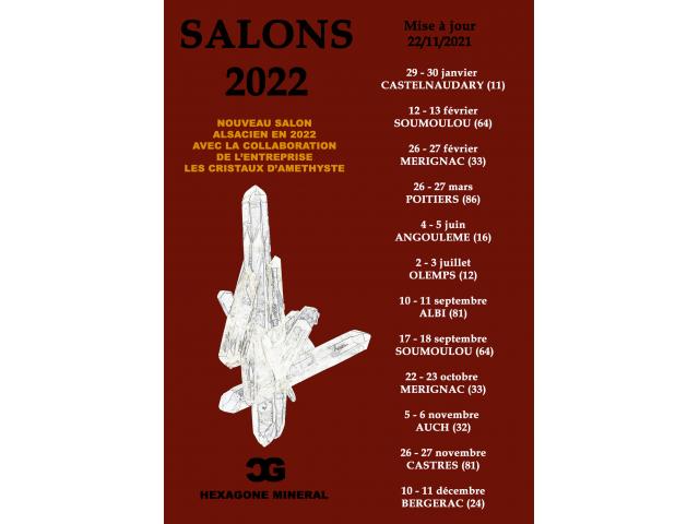 Photo 1er SALON MINERAUX FOSSILES BIJOUX de CASTELNAUDARY image 2/3